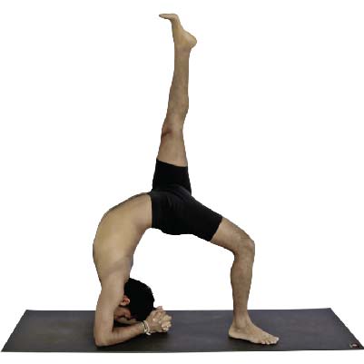 Bio Mechanics of Backbends - Intouch Yoga Byron Bay