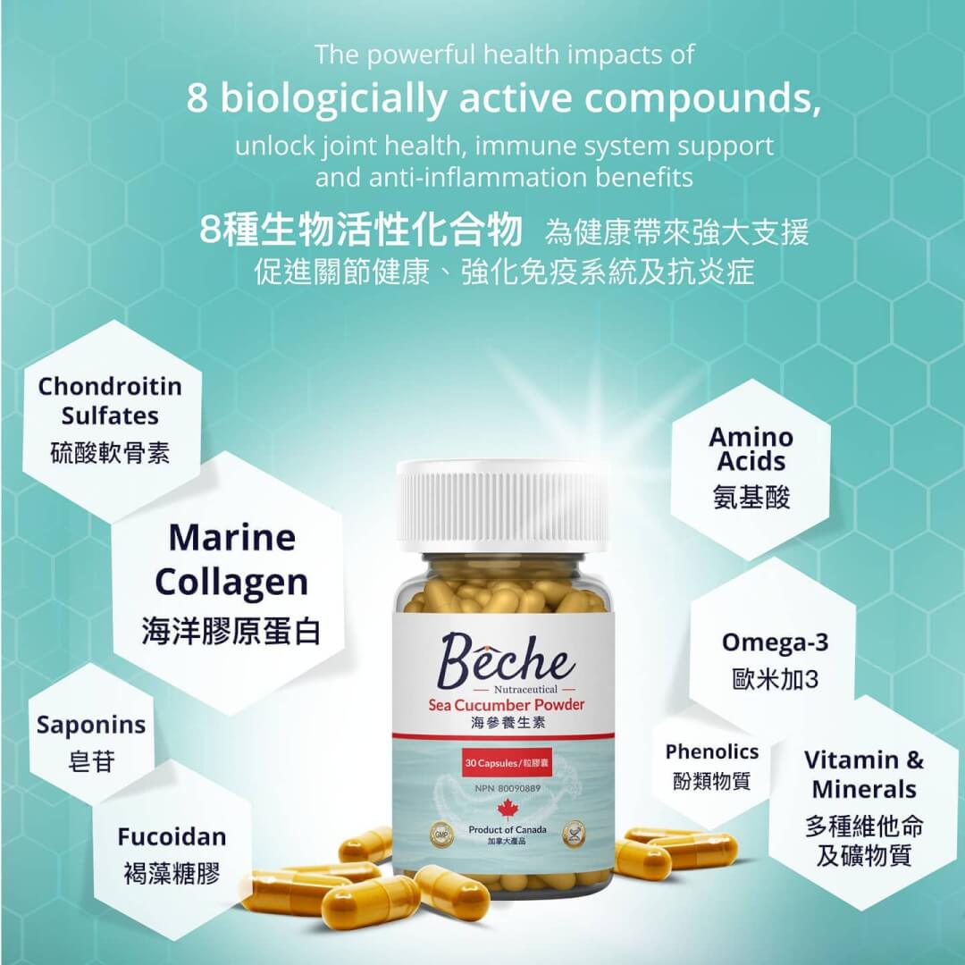 Sea Cucumber Natural Wonder Cure For AgeRelated Problems?