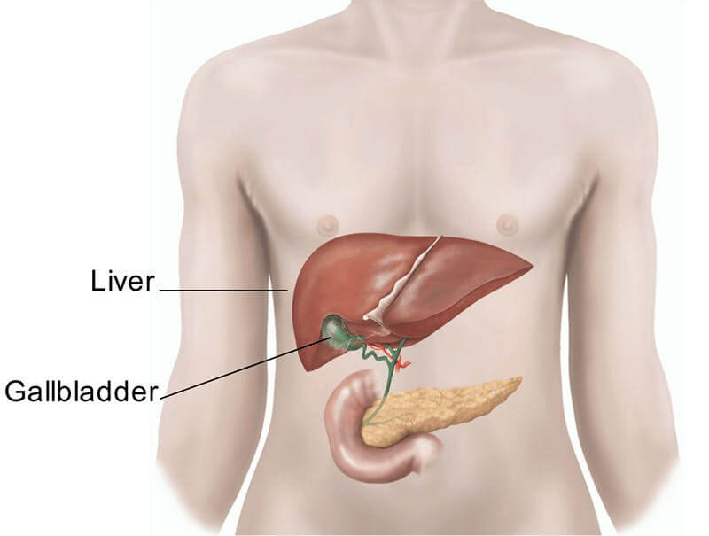 gallbladder referred pain